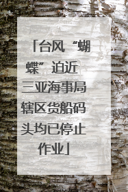 台风“蝴蝶”迫近 三亚海事局辖区货船码头均已停止作业